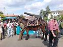 Adunata Alpini BAssano 2008 MK-528